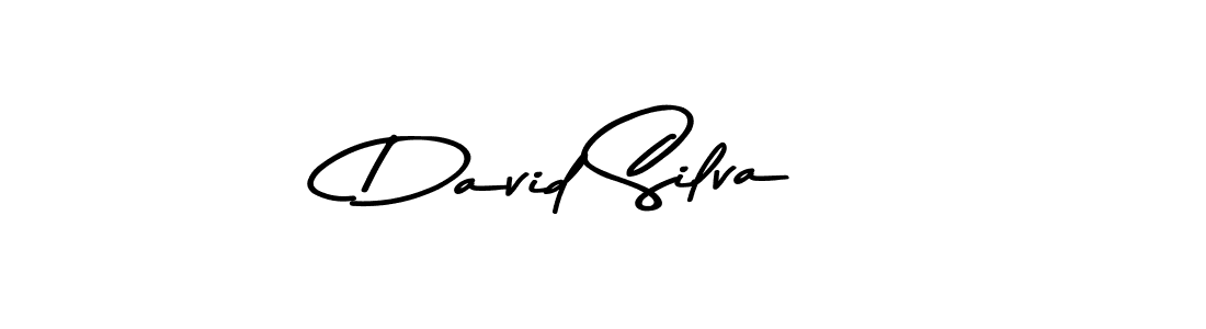 David Silva stylish signature style. Best Handwritten Sign (Asem Kandis PERSONAL USE) for my name. Handwritten Signature Collection Ideas for my name David Silva. David Silva signature style 9 images and pictures png